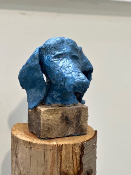 Blue Dog